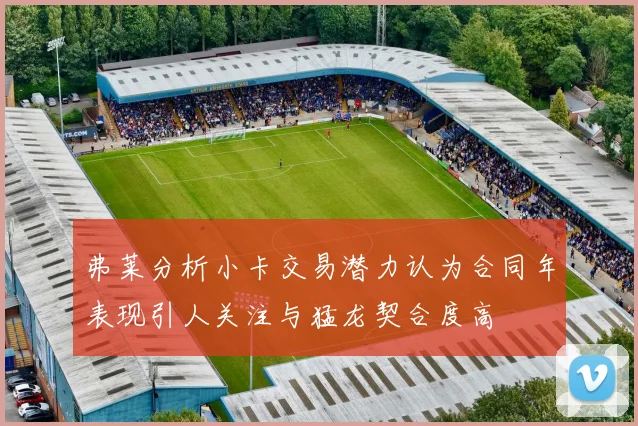 弗莱分析小卡交易潜力认为合同年表现引人关注与猛龙契合度高